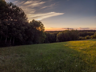 Sonnenuntergang am Waldrand