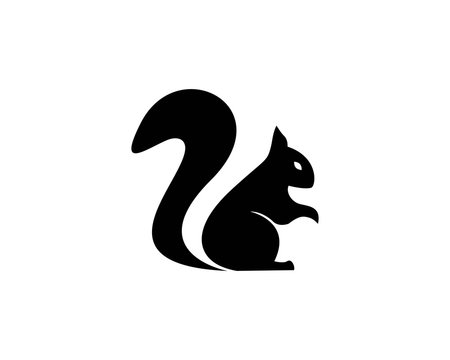 squirrel logo vector icon illustration design 