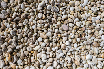 variety of gravel decorated on ground in garden