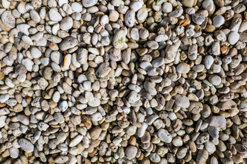 variety of gravel decorated on ground in garden