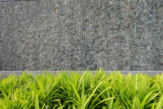green plant with decorative patten stonewall element with varity stone color in background or texture