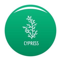 Cypress leaf icon. Simple illustration of cypress leaf vector icon for any design green