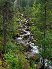 Cascade of small waterfalls on the mountain river. Altai, Russia.