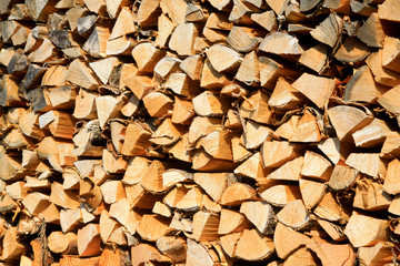 Dry branches piled up together