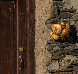 Onions hanging out to dry