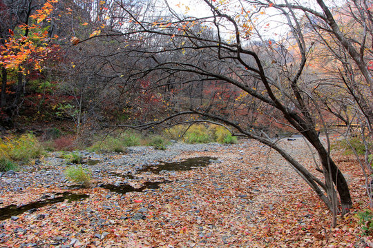 GuanMenShan scenic spot natural landscape