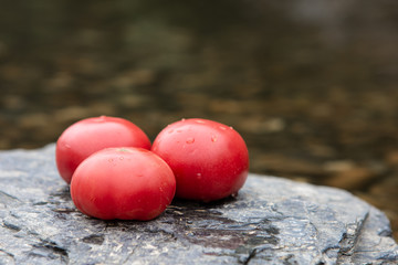 Three Large Red Or Pink Tomatoes Close-Up With Splashes And Drops Of Water On Gray Flat Stone Against Transparent And Clean Mountain River. Concept Of Proper And Healthy Organic Nutrition.