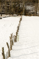 high mountain pastures, covered with freshly fallen snow, with a wooden fence and wire separating the different plots.