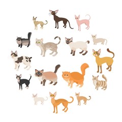 Cat icons set in cartoon style on a white background