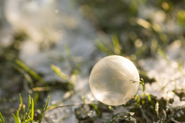 frozen soap bubble in winter