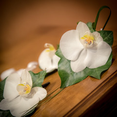 Fototapeta na wymiar Wedding Flowers & Bouquets