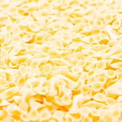  the raw pasta   and cuisine