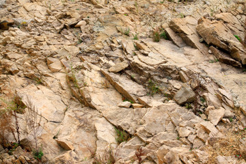 Brown rock texture