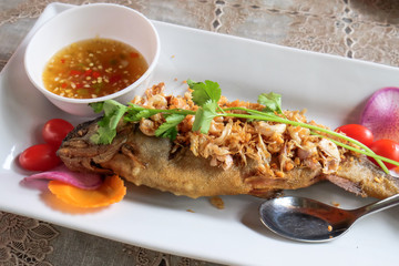 Thai food, fried rainbow trout with garlic and spicy sauce