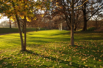 B&auml;ume und Wiese im Park bei Herbst