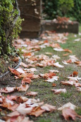 Hacia el otoño