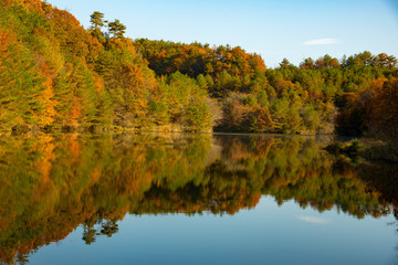 ダム湖の水面に映る秋の紅葉した木々の反射が美しい