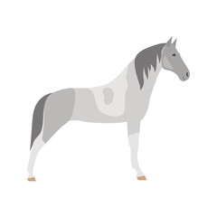 Fototapeta na wymiar Teennessee horse color vector icon. Flat design