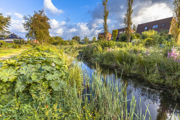 Ecological park with river in urban area