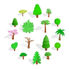 Tree icons set in isometric 3d style isolated on white background