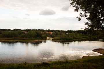 Mere with waterfowl, Maasduinen National Park, Limburg, Netherlands