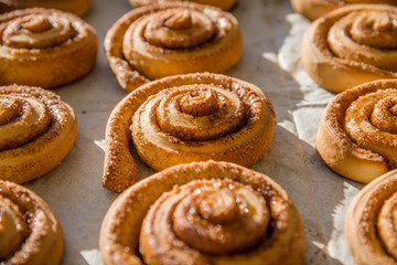 Freshly baked cinnamon rolls 