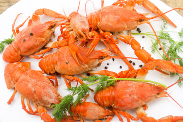 Cooked juicy red crayfish in a plate on a wooden table with a dill