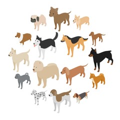 Dog icons set in isometric 3d style on a white background