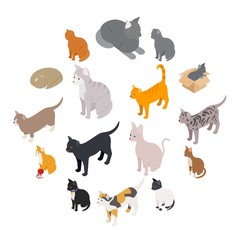 Cat icons set in isometric 3d style on a white background