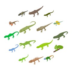 Lizard icons set in isometric 3d style on a white background