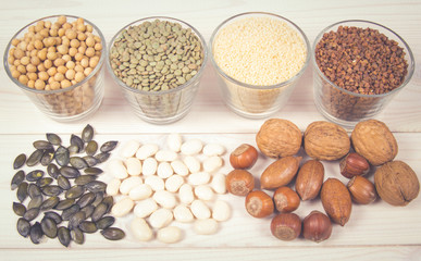 Food products containing protein of vegetable origin.