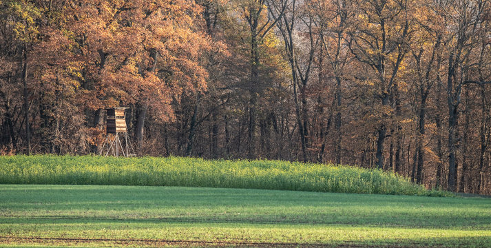 J&auml;gerstand mit Senffeld vor Wald im Seitenlicht