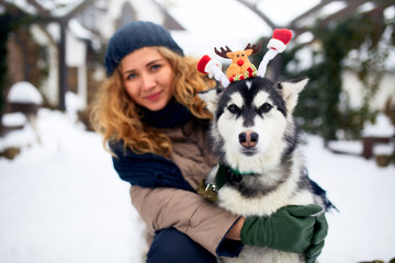Attractive authentic caucasian woman hugs funny malamute dog wearing santa dear christmas antlers. Curly smiling female having fun with huskie puppy on new year. Pet is best gift for holidays.