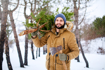 Bearded man carrying freshly cut down christmas tree in forest. Lumberjack holds axe and fir tree...