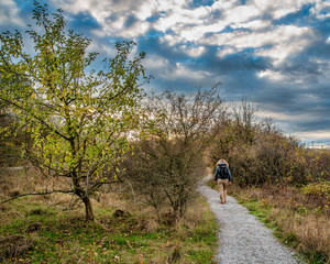 Wandern im Hainich Nationalpark