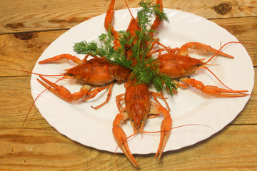 Cooked juicy red crayfish in a plate on a wooden table with