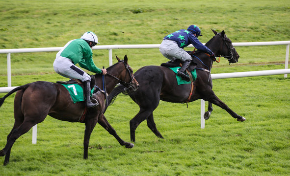 Two Race horses galloping for position