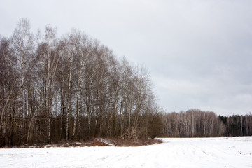 Snow-covered field with islands of forest.