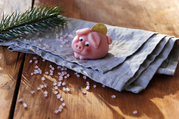 glücksschweinchen mit münze