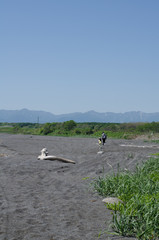 Fototapeta premium 海辺の風景
