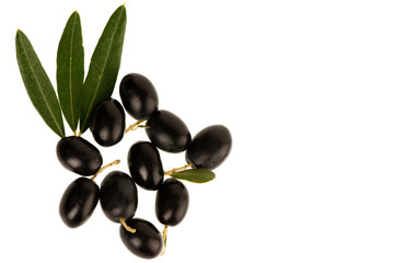 Ripe black olives on a branch isolated over white background