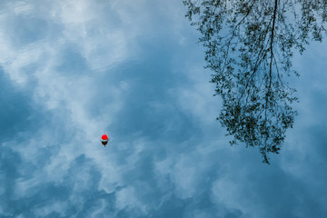 Close up view of blue lake reflecting sky, clouds and tree. Red fishing bobber floating on lake surface. Concept for calm and peace. Kopački rit Nature Park (Amazon of Europe), Croatia.