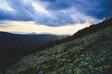 Ukrainian Carpathian Mountains. Hills and mountain peaks. Fabulous look.