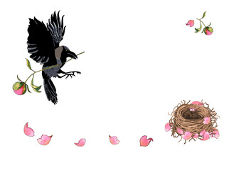 Crow flying with flower in beak. Mother bird builds her nest with peony petals, watercolor hand drawn. Illustration for romantic, greeting or invitation card. Concept - building a happy new family.