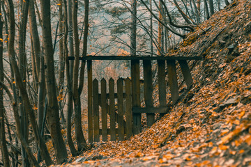 old gate in forest