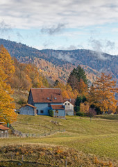 Obraz premium Les Vosges en automne