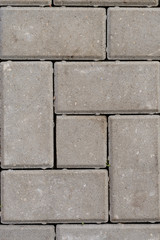 Texture of paving stone