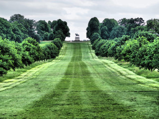 Fototapeta na wymiar View of Copper Horse statue of King George III atop Snow Hill in Windsor Great Park