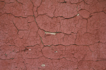 Peeling paint on a wall - Stock image