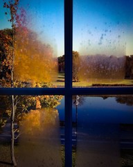 the window which misted over through which autumn trees and the sky are visible
